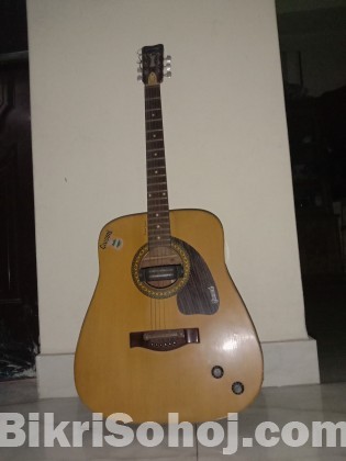 Guitar